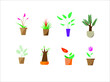 Indoor landscape garden potted plants isolated on white. Vector set green plant in pot.