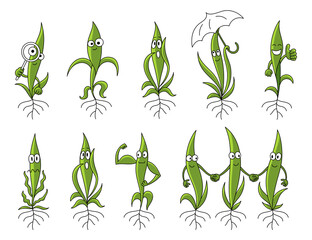 Wall Mural - Young plant set characters. Friendly shoots germination. Seedlings mascot. Plants growing. Agricultural science. Vector flat cartoon.