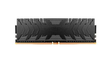 Poster - Ram DDR memory modules isolated on white background.
