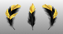 Black Feathers With Gold Glitter Isolated On Transparent Background. Vector Realistic Set Of Golden Colored Bird Or Angel Quills, Soft Fluffy Plumes With Yellow Sparkles
