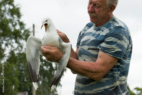 Cuadros en Lienzo a man holding a sick seagull with an open beak in his hands