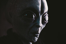 Alien Creature Has A Message For Humans. Grey Kind Humanoid From An Other Planet Portrait Series.