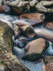 Wall Mural - could mountain river in autumn