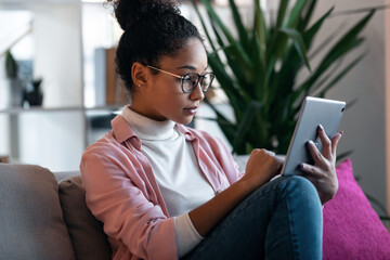 Wall Mural - Beautiful concentrated young entrepreneur woman using her digital tablet while sitting on couch in the office.