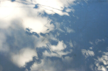 shadows on the wall