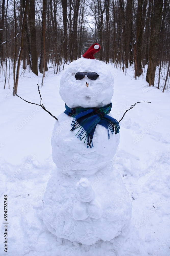 Funny snowman with male genitals in forest outdoors on a cold winter ...