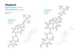 Vitamin D2, D3. Ergocalciferol and Cholecalciferol. Structural Chemical Formula and Line Model of Molecule. Vector Illustration
