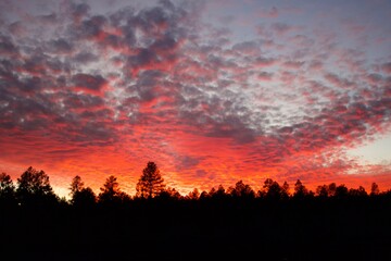 Wall Mural - sunset in the mountains