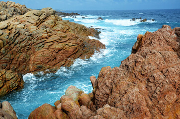 Wall Mural - rocky coastline in the ocean australia