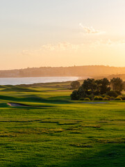 Wall Mural - Sunset light over a green landscape area.
