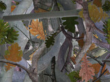 Realistic forest camouflage. Seamless pattern. Oak leaves and branches. Useable for hunting and military purposes.                   