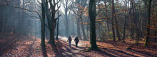 Two Women Walk In Autumn Forest Near Doorn On Utrechtse Heuvelrug In The Netherlands