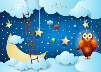 Wall Mural - Surreal sky by night with stairway and owl, vector illustration eps10