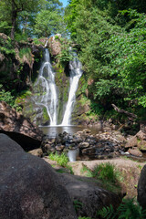 Wall Mural - Waterfall in the forest.