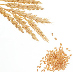 Wall Mural - Wheat on white