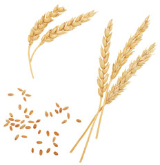 Wall Mural - Wheat on white