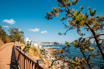 Wall Mural - Coastal trail road from Cheongsapo to Songjeong beach in Busan, Korea