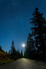 Wall Mural - Starry night in summer night, asphalt road among the pine trees forest in bright moon light.