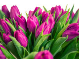 Fototapeta Tulipany - selective focus. red tulips in a vase isolated on white background. Spring composition. Delicate purple tulips on white background top view space for text border. copy space