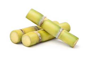 Fresh yellow sugar cane  isolated on white background. Clipping path