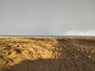 beach in the morning