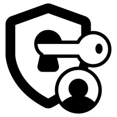 Poster - 
Personal data security in editable solid icon
