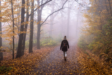 Wall Mural - hiking woman walking on path in fog. tourist in autumn forest