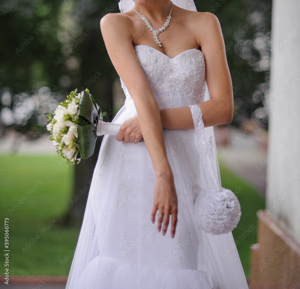 Young beautiful bride in a white wedding dress and long veil posing ...