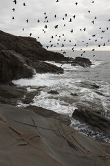 Canvas Print - waves on the beach