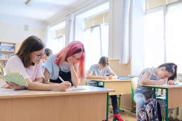 Wall Mural - Lesson in class of high school students, female teacher sitting at desk with student