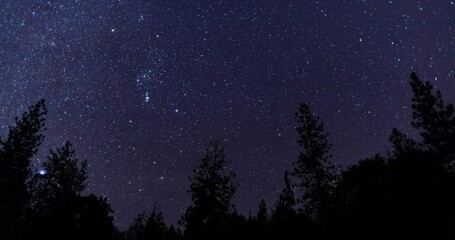 Wall Mural - Beautiful Starlight in this Orion Galaxy Time-lapse.
