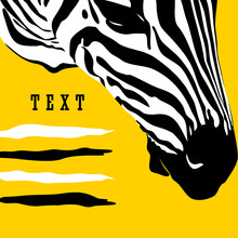Graphical Poster With Head Zebra Closeup On Yellow Background, Vector Illustration In Pop Art Collage Style