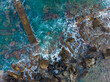 Aerial image of the rocks at the mediterranean coast near Giardini Naxos in Sicily, Italy