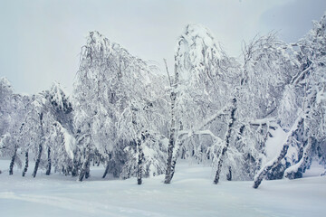 Winter landscape of the Crimean mountains