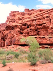 Wall Mural - Canyonland National Park red sandstone rocks