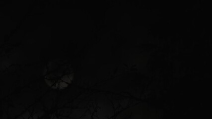 Wall Mural - spooky stormy night moon time lapse