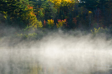 Wall Mural - Sunrise above forest lake