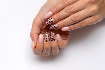 Wall Mural - Leopard manicure on long oval nails close-up on a white background. Pink pearlescent manicure.	