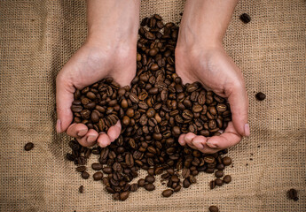 Women's hands hold roasted coffee beans. Women's palms with coffee on the background of burlap fabric