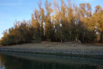 Wall Mural - Autumn on the banks of the Borcea arm