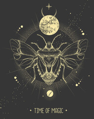 Wall Mural - Modern magic witchcraft card with moon and shield beetle. Hand drawing occult vector illustration