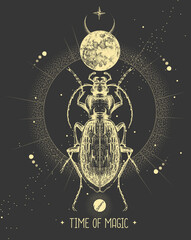 Wall Mural - Modern magic witchcraft card with moon and ground beetle. Hand drawing occult vector illustration