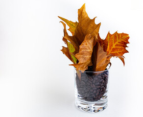 A bouquet of dry, fallen, autumn leaves into glass filled with roasted coffee beans on white background