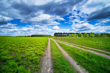 Countryside field natural background. Green grass and blue sky. Cloud scape in sunny day. Russia.