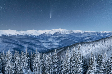 Wall Mural - fantastic winter landscape glowing by star light. dramatic wintry scene with snowy trees and comet i