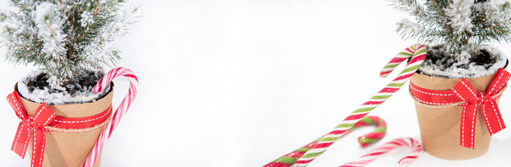 Wall Mural - Christmas tree decoration. Merry Christmas horizontal banner. Small tree isolated on white background.