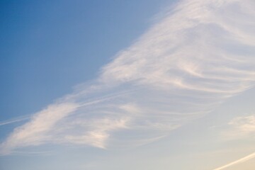 Wall Mural - Cirrocumulus clouds in the light blue sky background