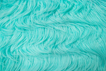 Beautiful Green Turquoise Vintage Color Trends Feather Texture Background. Wool Texture.