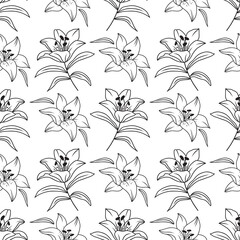 Wall Mural - Lily seamless pattern, Elegant lilies drawn by a thin line. Floral pattern black and white. Vector flowers isolated from background