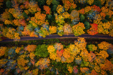 Beautiful Look Down Photograph Of A Narrow Paved Road Curving Through The Forest Near The With Gorgeous Yellow, Orange, Red And Green Autumn Foliage Or Leaves On The Treetops Below In Upper Michigan.